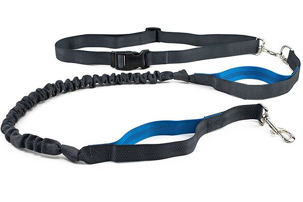Dog Leash for running Dog Leash for running